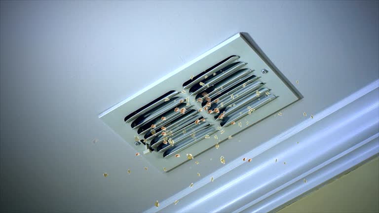 Best Air Duct Cleaning Near Me  in Canyon, TX